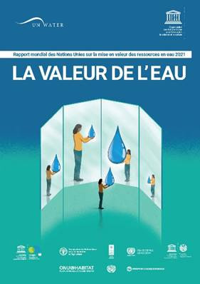 Rapport Mondial des Nations Unies sur la mise en valeur des ressources ...
